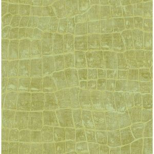 TA20504 ― Eades Discount Wallpaper & Discount Fabric