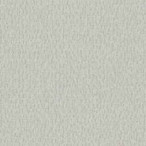 TD1034N ― Eades Discount Wallpaper & Discount Fabric