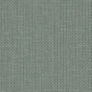 TD1049N ― Eades Discount Wallpaper & Discount Fabric