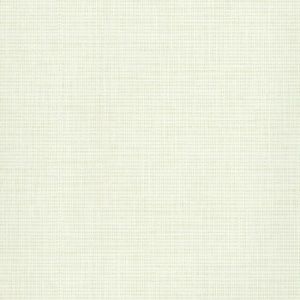 TD1050N ― Eades Discount Wallpaper & Discount Fabric