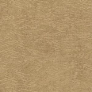 TN0045 ― Eades Discount Wallpaper & Discount Fabric
