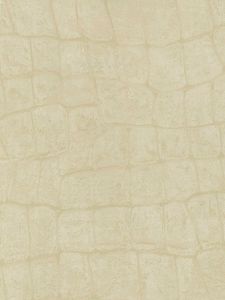 TN61207  ― Eades Discount Wallpaper & Discount Fabric