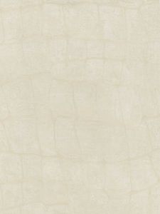 TN61208  ― Eades Discount Wallpaper & Discount Fabric