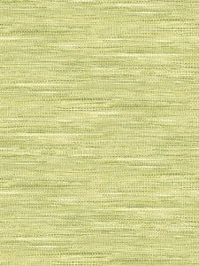 TP80104 ― Eades Discount Wallpaper & Discount Fabric