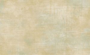 TR20802 ― Eades Discount Wallpaper & Discount Fabric