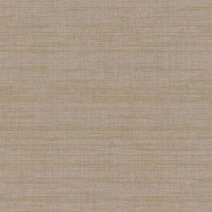 TT6301 ― Eades Discount Wallpaper & Discount Fabric