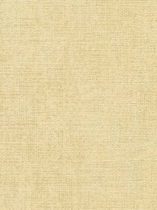 TW34221  ― Eades Discount Wallpaper & Discount Fabric