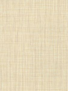 TW46511  ― Eades Discount Wallpaper & Discount Fabric