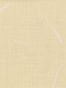 TW47101  ― Eades Discount Wallpaper & Discount Fabric