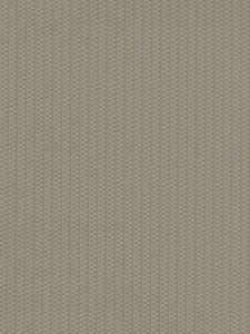 TX43564  ― Eades Discount Wallpaper & Discount Fabric