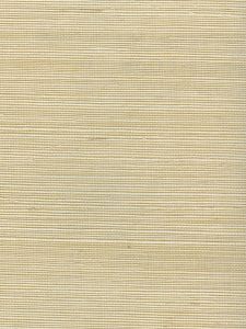  V21000  ― Eades Discount Wallpaper & Discount Fabric