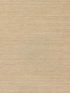 V21012  ― Eades Discount Wallpaper & Discount Fabric