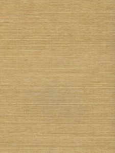 V21016  ― Eades Discount Wallpaper & Discount Fabric
