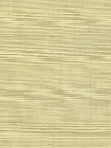  V21023  ― Eades Discount Wallpaper & Discount Fabric