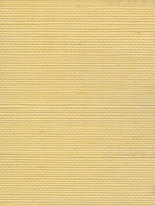  V21031  ― Eades Discount Wallpaper & Discount Fabric