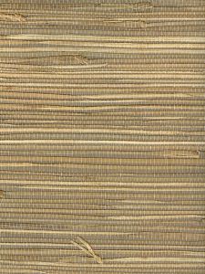 V2539  ― Eades Discount Wallpaper & Discount Fabric