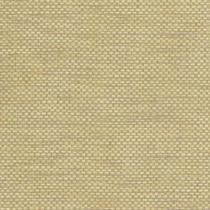 VG4422 ― Eades Discount Wallpaper & Discount Fabric