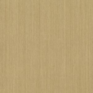 VG4433 ― Eades Discount Wallpaper & Discount Fabric