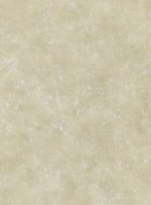  VM52408  ― Eades Discount Wallpaper & Discount Fabric