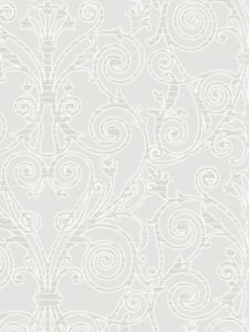 VSN211825  ― Eades Discount Wallpaper & Discount Fabric
