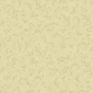 WB5426 ― Eades Discount Wallpaper & Discount Fabric