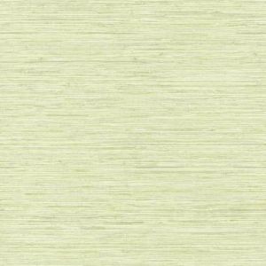 WB5505 ― Eades Discount Wallpaper & Discount Fabric