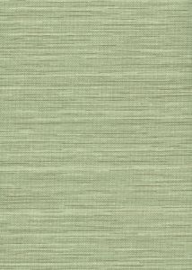 WD3077 ― Eades Discount Wallpaper & Discount Fabric