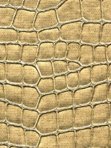 WK117  ― Eades Discount Wallpaper & Discount Fabric