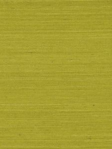 WND121  ― Eades Discount Wallpaper & Discount Fabric