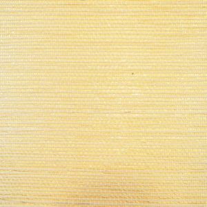WND227 ― Eades Discount Wallpaper & Discount Fabric