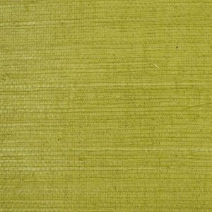 WND238 ― Eades Discount Wallpaper & Discount Fabric