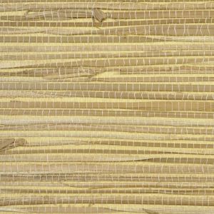 WND252 ― Eades Discount Wallpaper & Discount Fabric