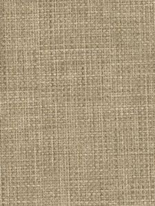 WW536 ― Eades Discount Wallpaper & Discount Fabric
