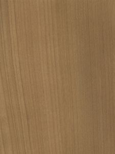 WW570 ― Eades Discount Wallpaper & Discount Fabric