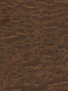 WW577 ― Eades Discount Wallpaper & Discount Fabric