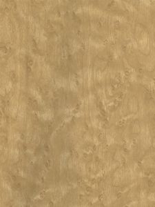 WW578 ― Eades Discount Wallpaper & Discount Fabric