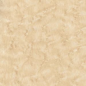 WW607 ― Eades Discount Wallpaper & Discount Fabric