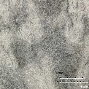 EG117 ― Eades Discount Wallpaper & Discount Fabric