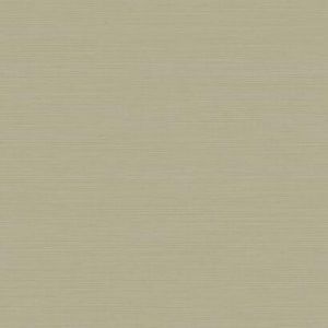 Y6200906 ― Eades Discount Wallpaper & Discount Fabric