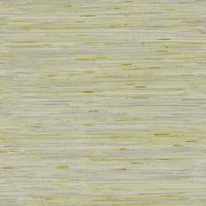 Y6201605 ― Eades Discount Wallpaper & Discount Fabric