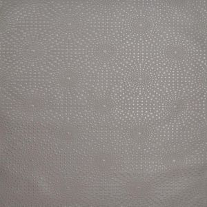 Y6220904 ― Eades Discount Wallpaper & Discount Fabric