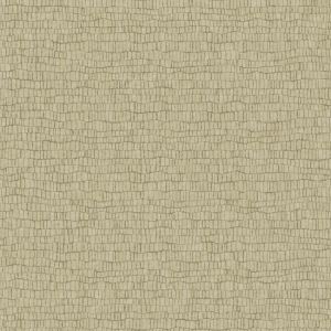 Y6230403 ― Eades Discount Wallpaper & Discount Fabric
