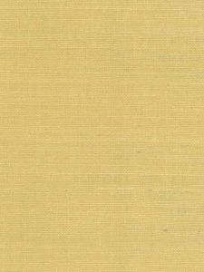 YAN1024  ― Eades Discount Wallpaper & Discount Fabric