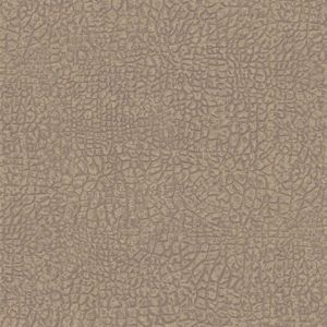 AC60000 ― Eades Discount Wallpaper & Discount Fabric
