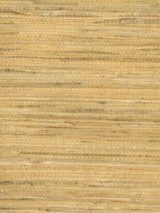 jeevan jute earth  ― Eades Discount Wallpaper & Discount Fabric